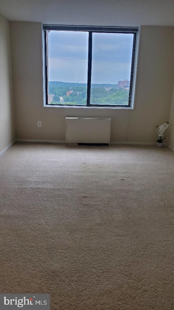 3705 S George Mason Dr Unit 1311, Falls Church, VA 22041 - empty room featuring plenty of natural light, carpet, and radiator