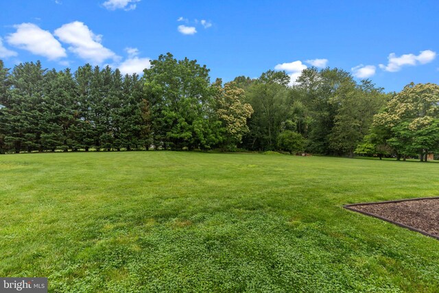 352 Concord Rd, Glen Mills, PA 19342 - view of grassy yard