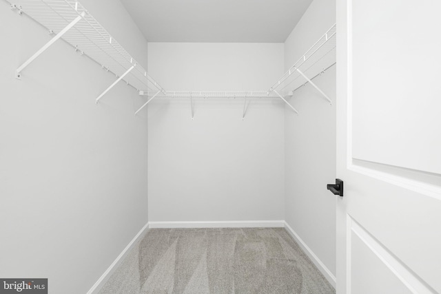 4913 S Broad St, Hamilton, NJ 08620 - walk in closet with carpet floors