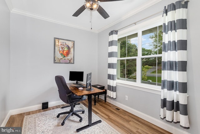 309 Pierson Rd, Lititz, PA 17543 - office space featuring ceiling fan, ornamental molding, and wood finished floors