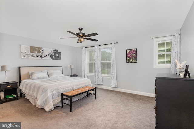 309 Pierson Rd, Lititz, PA 17543 - bedroom with carpet flooring and a ceiling fan
