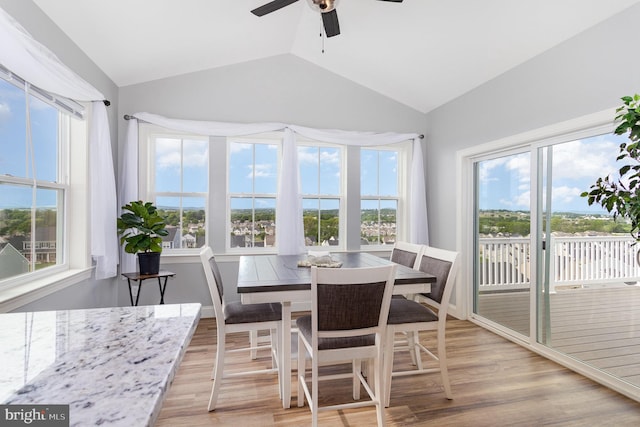 309 Pierson Rd, Lititz, PA 17543 - sunroom / solarium featuring lofted ceiling and healthy amount of natural light