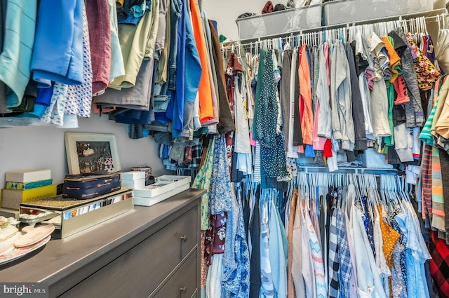 932 Dawes Ct, Bel Air, MD 21014 - view of walk in closet