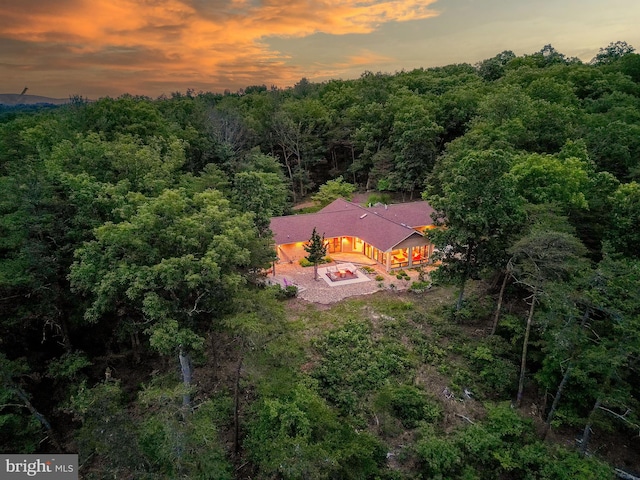 302 Fox Run Rd, Wardensville, WV 26851 - aerial view at dusk of a view of trees