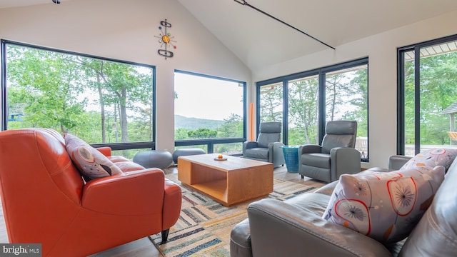 302 Fox Run Rd, Wardensville, WV 26851 - living room featuring light wood finished floors and high vaulted ceiling
