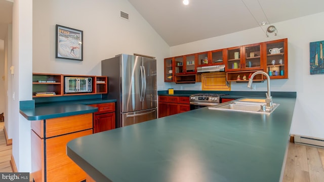 302 Fox Run Rd, Wardensville, WV 26851 - kitchen featuring appliances with stainless steel finishes, under cabinet range hood, open shelves, light wood-type flooring, and glass insert cabinets