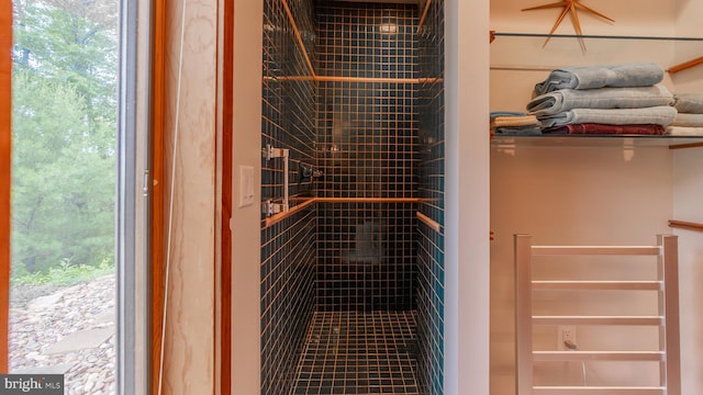 302 Fox Run Rd, Wardensville, WV 26851 - bathroom with a tile shower and plenty of natural light