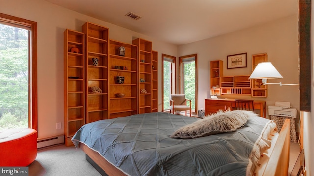 302 Fox Run Rd, Wardensville, WV 26851 - carpeted bedroom with a baseboard radiator and multiple windows