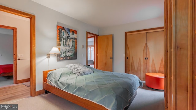 302 Fox Run Rd, Wardensville, WV 26851 - bedroom with a closet and carpet floors