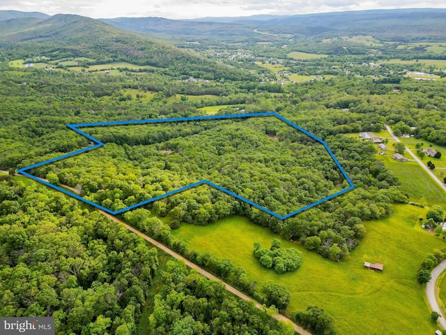 302 Fox Run Rd, Wardensville, WV 26851 - aerial view of property's location with property parcel outlined and a mountainous background
