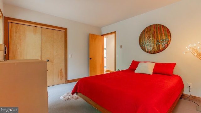 302 Fox Run Rd, Wardensville, WV 26851 - carpeted bedroom with a closet