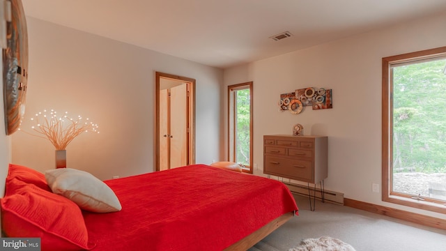 302 Fox Run Rd, Wardensville, WV 26851 - carpeted bedroom with a baseboard radiator and multiple windows