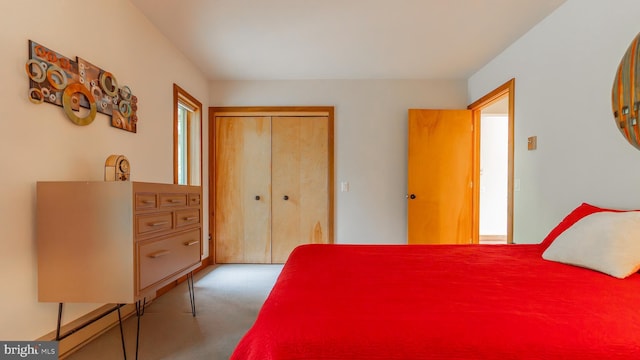 302 Fox Run Rd, Wardensville, WV 26851 - bedroom with carpet flooring and a closet