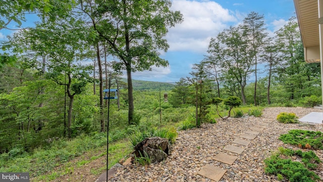 302 Fox Run Rd, Wardensville, WV 26851 - view of yard