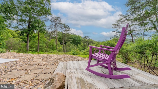 302 Fox Run Rd, Wardensville, WV 26851 - view of deck