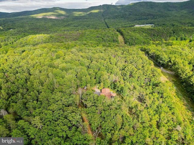302 Fox Run Rd, Wardensville, WV 26851 - view of property location featuring a forest and a mountain backdrop