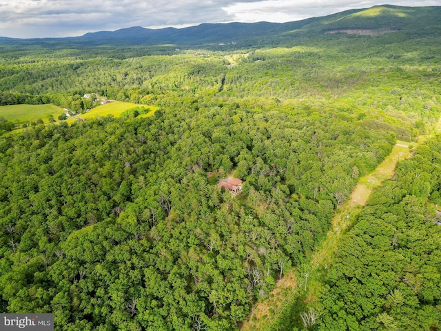 302 Fox Run Rd, Wardensville, WV 26851 - bird's eye view of a heavily wooded area and a mountain backdrop
