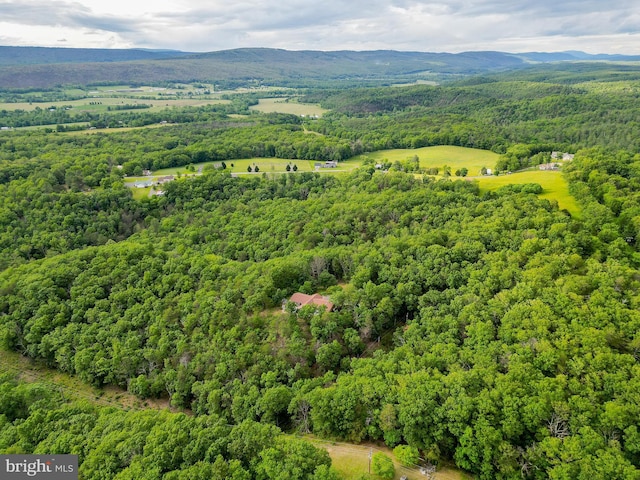 302 Fox Run Rd, Wardensville, WV 26851 - bird's eye view of a forest and a mountainous background