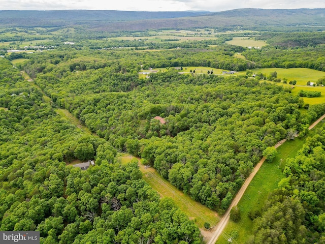 302 Fox Run Rd, Wardensville, WV 26851 - aerial view of a forest