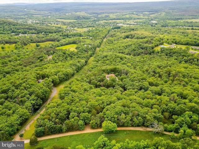 302 Fox Run Rd, Wardensville, WV 26851 - aerial view of a heavily wooded area