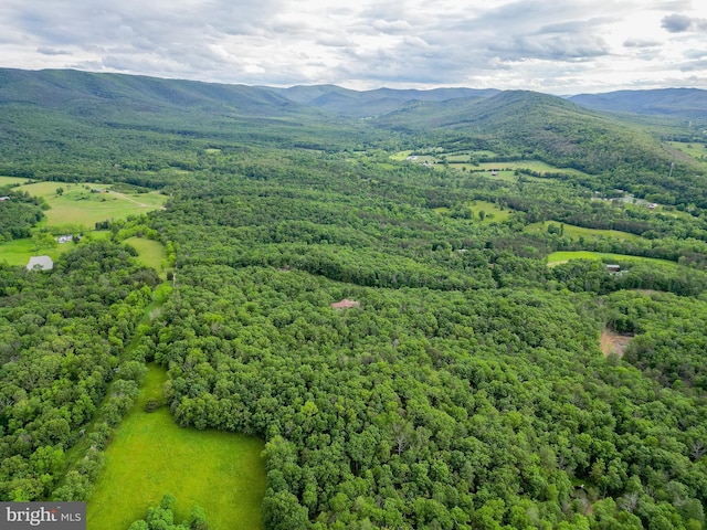 302 Fox Run Rd, Wardensville, WV 26851 - aerial view of a forest and a mountainous background
