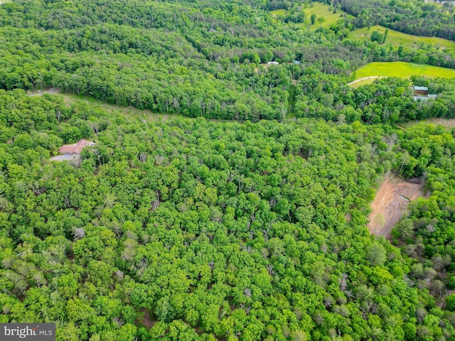 302 Fox Run Rd, Wardensville, WV 26851 - aerial view of property's location with a heavily wooded area