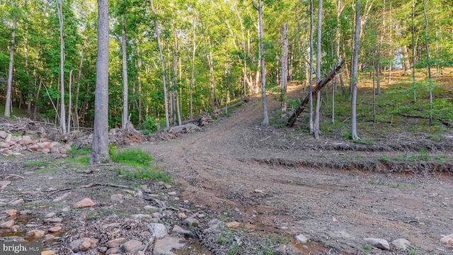 302 Fox Run Rd, Wardensville, WV 26851 - view of wooded area