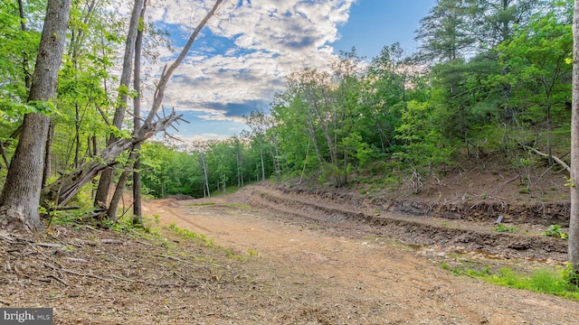 302 Fox Run Rd, Wardensville, WV 26851 - view of road