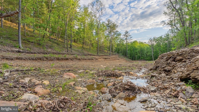302 Fox Run Rd, Wardensville, WV 26851 - view of wooded area