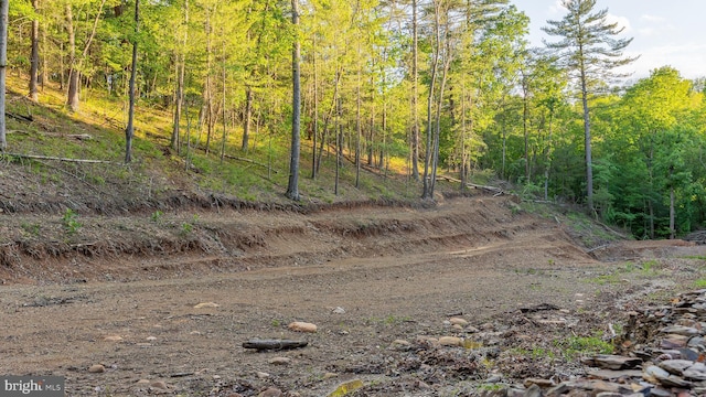 302 Fox Run Rd, Wardensville, WV 26851 - view of tree filled area