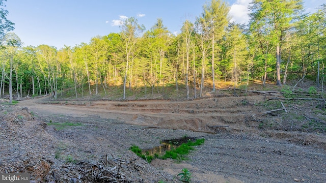 302 Fox Run Rd, Wardensville, WV 26851 - view of wooded area