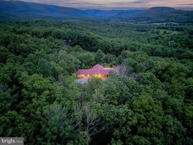 302 Fox Run Rd, Wardensville, WV 26851 - aerial view at dusk of a forest view and a mountain view