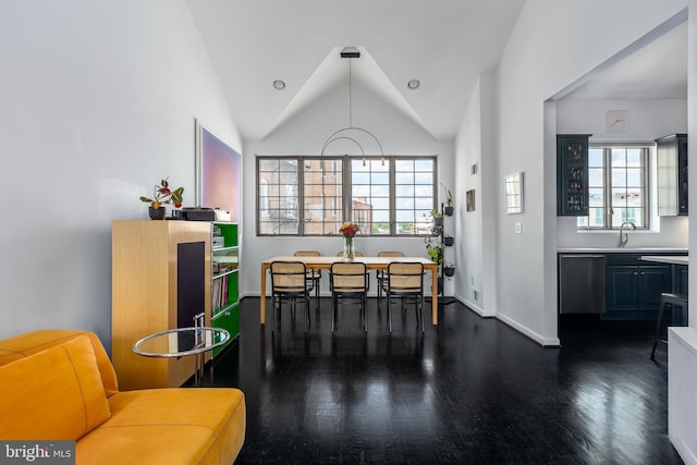 1823 Belmont Rd NW Unit D, Washington, DC 20009 - dining room featuring dark wood-style flooring, healthy amount of natural light, and lofted ceiling