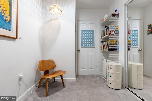 1823 Belmont Rd NW Unit D, Washington, DC 20009 - living area featuring carpet and baseboards