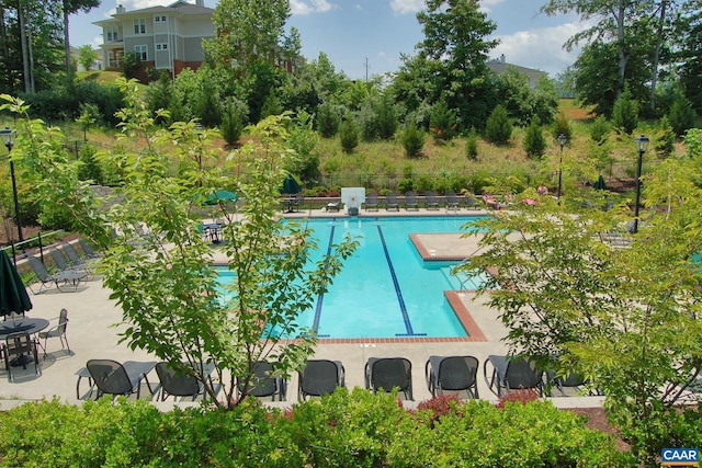 765 Denali Way Unit 204, Charlottesville, VA 22903 - community pool featuring a patio and view of scattered trees