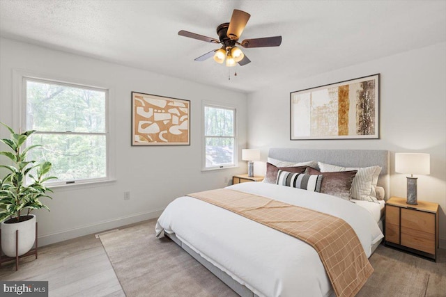 95 Arthur Burke Ln, Front Royal, VA 22630 - bedroom with multiple windows, light wood-type flooring, and a ceiling fan