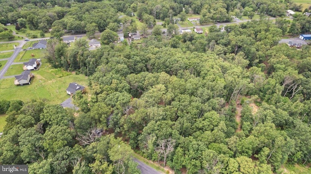 95 Arthur Burke Ln, Front Royal, VA 22630 - view of property location with a heavily wooded area