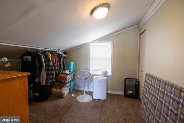 134 Catlett Mountain Rd, Front Royal, VA 22630 - walk in closet with lofted ceiling and carpet floors