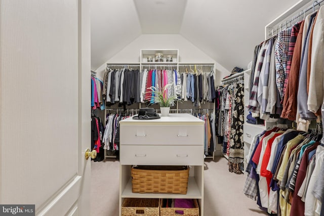 660 Casey Ln, West Chester, PA 19382 - walk in closet with lofted ceiling and carpet
