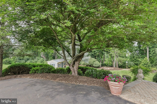 660 Casey Ln, West Chester, PA 19382 - view of patio / terrace with an outbuilding