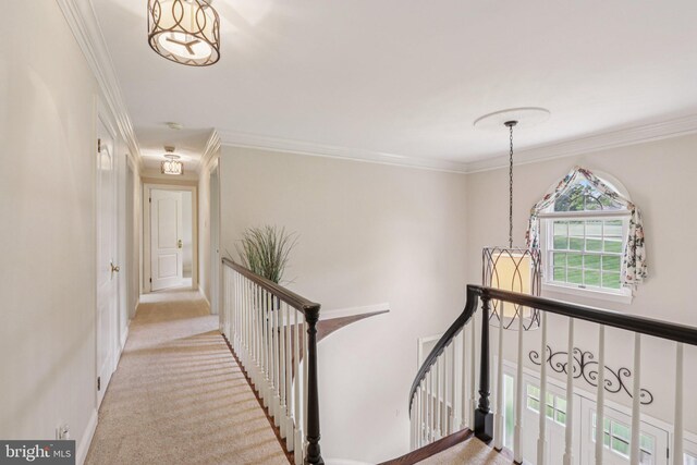 660 Casey Ln, West Chester, PA 19382 - hall with an upstairs landing, light colored carpet, and crown molding