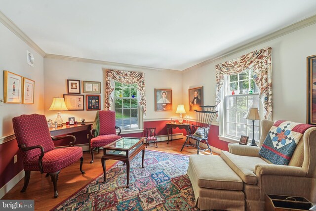4250 Fretz Mill Rd, New Hope, PA 18938 - living room featuring crown molding, wood finished floors, and a baseboard radiator