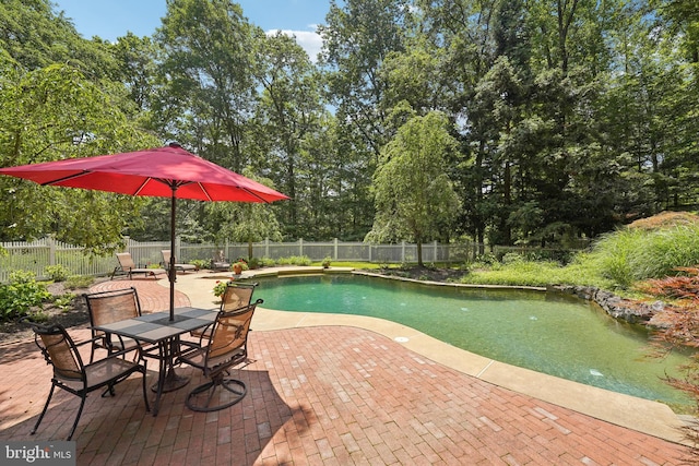 4250 Fretz Mill Rd, New Hope, PA 18938 - view of swimming pool featuring a patio area, a fenced backyard, and view of scattered trees