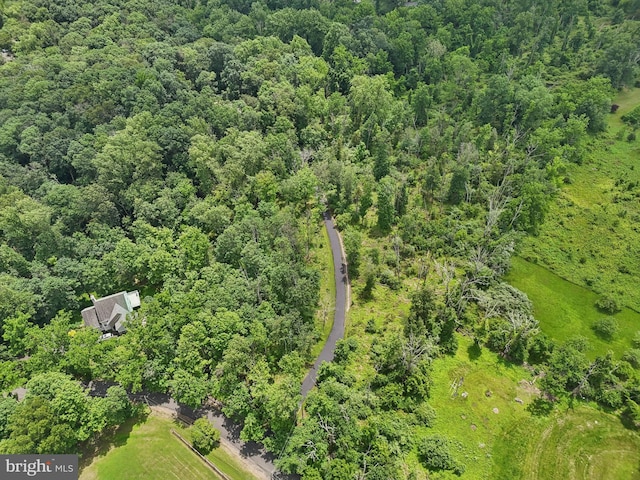 4250 Fretz Mill Rd, New Hope, PA 18938 - drone / aerial view of a forest