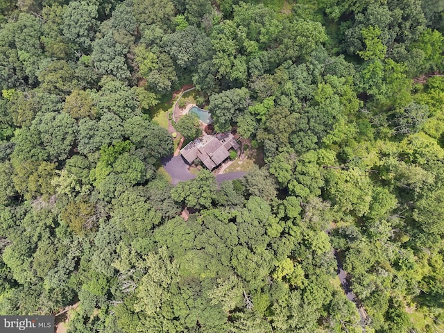 4250 Fretz Mill Rd, New Hope, PA 18938 - aerial overview of property's location with a forest