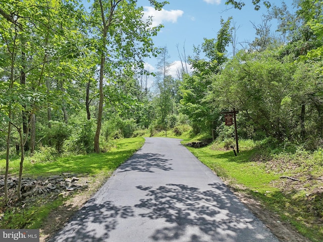 4250 Fretz Mill Rd, New Hope, PA 18938 - view of asphalt road featuring a forest view