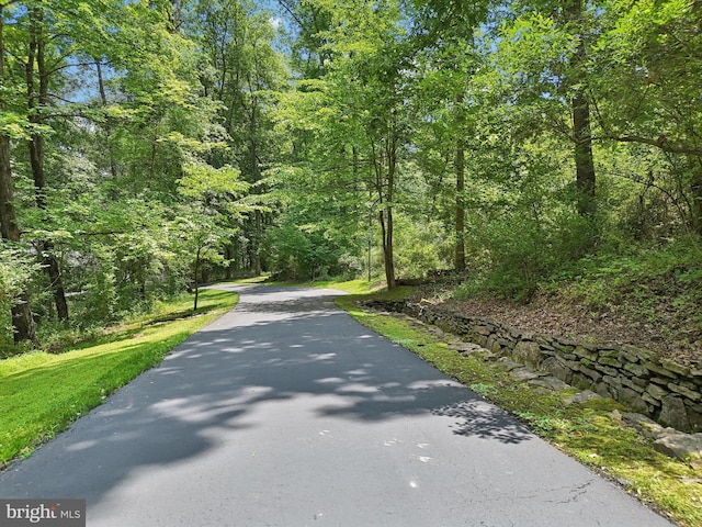 4250 Fretz Mill Rd, New Hope, PA 18938 - view of street featuring a view of trees