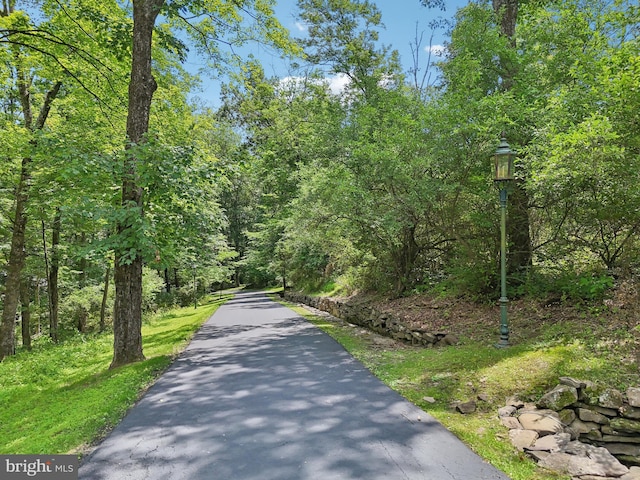 4250 Fretz Mill Rd, New Hope, PA 18938 - view of street featuring a wooded view