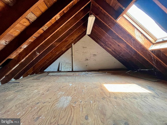 5501 W Forest Park Ave, Baltimore, MD 21207 - view of attic