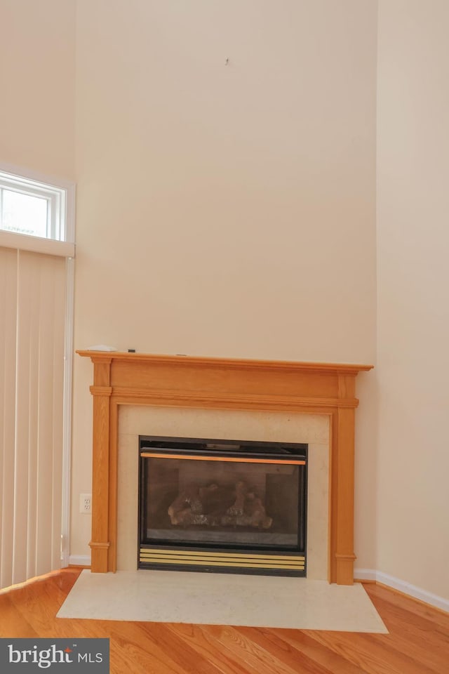 8804 Shining Oceans Way Unit 53, Columbia, MD 21045 - detailed view of a fireplace with flush hearth and wood finished floors